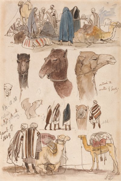 Outside the Walls of Suez, 8-30 a.m., 17 January 1849 by Edward Lear